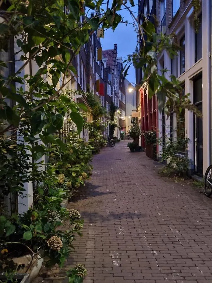 Apartment Here'S Lucy Amsterdam Netherlands